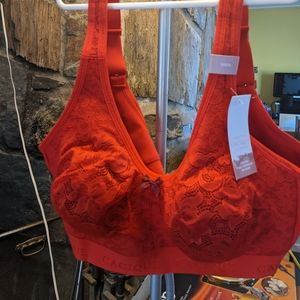 Cacique 36DD